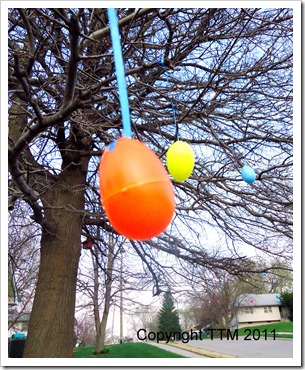 spring eggs2