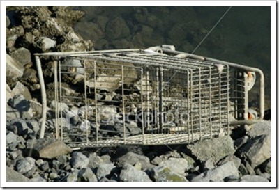 istockphoto_541262-dead-shopping-cart