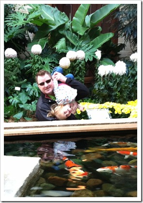 daddy koi pond