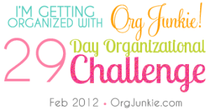 OrgChallenge-Teal2