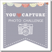 You-Capture-sidebar-150x150.jpg