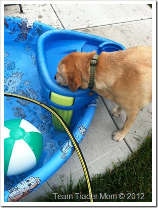 538822_10150947619083738_1445736862_n