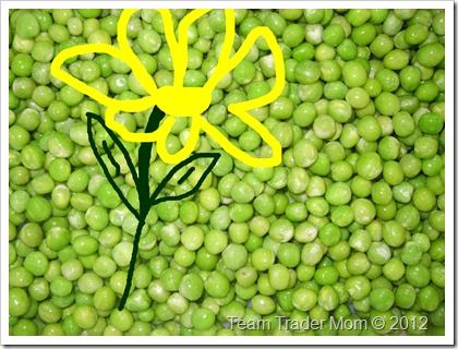 <Digimax S800 / Kenox S800>